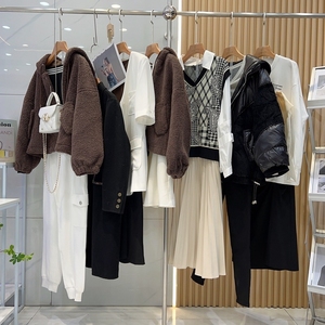 Venta al por mayor Liquidación Abrigos de invierno para mujer Abrigos medianos a largos para mujer Inventario Enviado al azar - Product Image 4