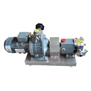 Bomba Sumergible de Lóbulos Rotatorios de Acero Inoxidable de 2HP con Caja de Engranajes, Compatible con Chocolate y Yogur, Centrífuga para Uso Marino de 5kw - Product Image 3