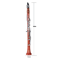 New Design Popular High Quality 17 Key Bb Clarinet Woodwind Musical Instrument Clarinet with Accessories