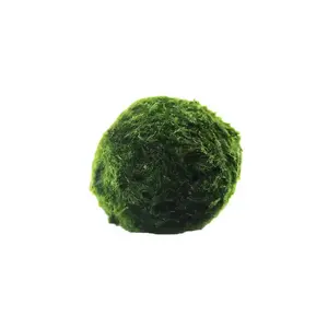 실제 물 잔디 거실 2-4cm 수족관 장식 조경 작은 해초 공 수족관 액세서리 녹색 조류 공