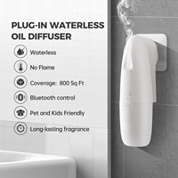 Diffuseur d'arômes d'huiles essentielles sans eau, portable, mural, contrôlé par application, de luxe, pour hôtels et usage domestique, avec logo personnalisé 2026