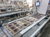 Machine d'emballage sous blister thermoformante automatique SL-420G |   Ligne d'emballage pour biscuits / chocolats / bonbons / biscuits Ladyfinger