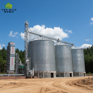 Silos à fèves à fond plat en acier galvanisé à chaud de haute qualité, marque TSE, certifiés ISO9001 et CE, TCK <span class=keywords><strong>12500T</strong></span>, pour élevages de poulets - Product Image 6
