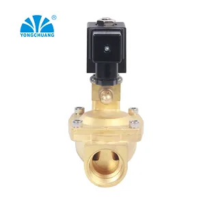 Yongchuang Brand YCXF Series Fire Control Co2 230v 220v Solenoid Valve