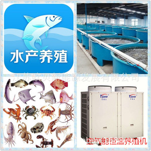 Pompe à chaleur air-eau Yijaren 380V, en métal, à économie d'énergie pour le chauffage en aquaculture - Product Image 4