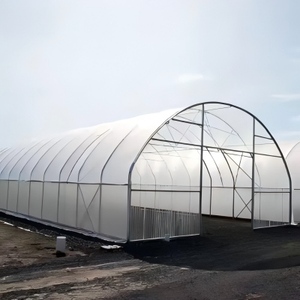 Grande serre <span class=keywords><strong>de</strong></span> jardin, poulailler, couverture en <span class=keywords><strong>film</strong></span> PE transparent, structure stable, équipement agricole - Product Image 3
