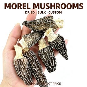 Morilles vieilles cultivées de 5-7 cm, séchées naturellement à l'air, légèrement amères, de haute qualité, vente en gros en vrac, directement de l'usine - Product Image 1