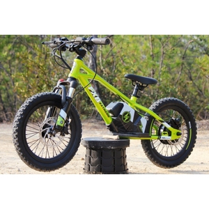 FXB Moto électrique miniature à deux roues pour enfants de 16 pouces, mini moto électrique, vélo d'équilibre électrique - Product Image 1