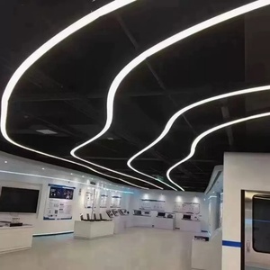 Diseño de Iluminación Interior Creativo, Lámpara Colgante LED en Forma de S, Luz Lineal Curva - Product Image 4