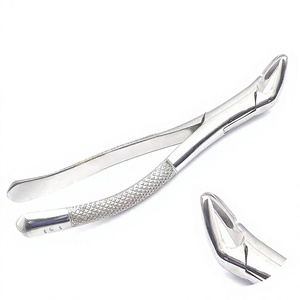Instrumento Dental Premium 151 #   Pinzas de Extracción de Dientes de Acero Inoxidable, Pinzas para Incisivos Inferiores, Instrumentos Quirúrgicos - Product Image 1