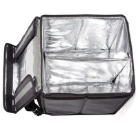 Actionneur de serrure de porte de voiture Sac à dos de livraison alimentaire en polyester Sac à dos isolé de livraison de nourriture Sac à dos refroidisseur DF190001