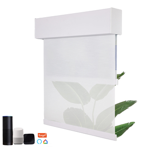 Persianas enrollables motorizadas eléctricas <span class=keywords><strong>de</strong></span> doble capa lisas, <span class=keywords><strong>de</strong></span> primera calidad, con control <span class=keywords><strong>de</strong></span> luz opaca <span class=keywords><strong>para</strong></span> <span class=keywords><strong>ventanas</strong></span> francesas - Product Image 2