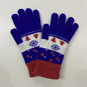 Wholesale Winter Knitted Gloves Acrylic Gloves Mittens Touch Screen Finger Knitted Gloves Adult Men Women Check Pattern Winter