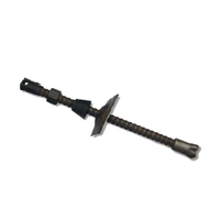 Pente de mine d'or de tunnel de R32mm/R25mm/R51mm soutenant le boulon de roche d'ancre d'autoforage