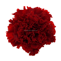 Oeillets 4-5cm 8 pièces/boîte de fleurs séchées au toucher réel longue durée préservées têtes de fleurs d'oeillets éternels en vrac vente en gros