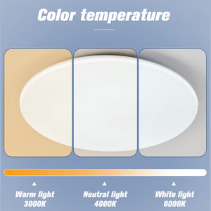 Modern Minimalist Hotel Use Surface Mounted Ceiling <b>Lights</b> for Indoor <b>Corridors</b> White LED with Iron Construction - Product Image 6