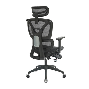 Chaise en maille ergohumaine personnalisée en usine chaise de bureau réglable en hauteur avec accoudoir - Product Image 1