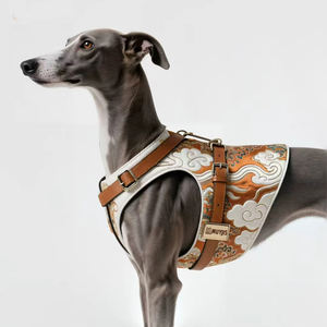 OEM kustom kulit mewah pengekang hewan peliharaan taktis nyaman besar tali anjing tanpa tarik - Product Image 1