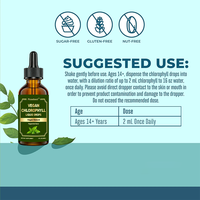 Complément alimentaire pour le bien-être général, gouttes liquides de chlorophylle à 50 mg, saveur menthe poivrée, 100 % végétalien, naturel, marque privée OEM