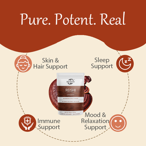 Polvo de Hongo Reishi OEM/ODM, Extractos de Hongos Recogidos a Mano, Reishi Rojo para un Bienestar Diario Tranquilo, Apoyo para la Piel y la Inmunidad - Product Image 3