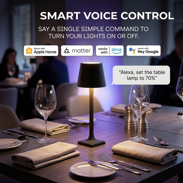 Matter Smart LED Modern Cordless Table Lamp Wireless Charging Base 5200mAh Rechargeable RGB Ambient Light Touch Control Custom