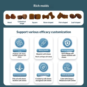 Vitaminas de Lecitina para Mascotas al por Mayor OEM/ODM (con Logotipo Personalizado), Adecuadas para Suplementos de Salud para Perros y Gatos, Gránulos Blandos - Product Image 4