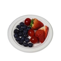 Pulpe de canne à sucre écologique jetable à usage unique vaisselle à emporter assiette à gâteau verte sûre