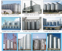 Silo 8000T Silo en acier pour stockage de grains Silo en tôle d'acier galvanisée 5 tonnes