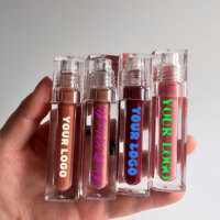 Teinte à lèvres hydratante et nourrissante effet verre brillant avec logo personnalisé, teinte à lèvres juteuse, gloss à lèvres waterproof, fabricant OEM