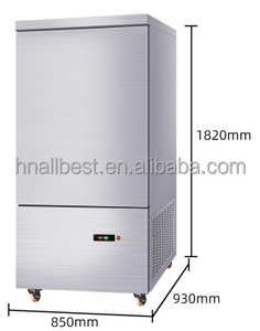 Refrigerador y Congelador Profesional de Acero Inoxidable, Apto para Hoteles y Carnicerías, Modelo Vertical de Baja Temperatura - Product Image 4