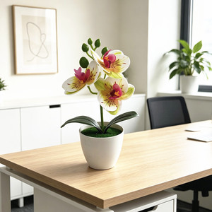 Orchidée Phalaenopsis Artificielle Paulon, 20 cm de Haut, Plante en Pot en Plastique Souple, Décoration d'Intérieur, Accessoires de Photographie - Product Image 4