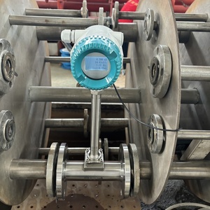 Presiccionデジタル蒸気タイプガス渦流量計センサーLPG窒素ガスレギュレーター付き流量計 - Product Image 6