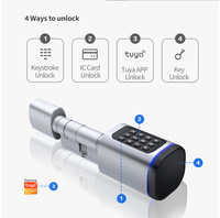 Serrure de porte numérique intelligente et biométrique Tuya App WiFi Compatible Digital IC Card Clé mécanique Serrure à cylindre en aluminium
