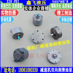 Pompes à huile bidirectionnelles cycloïdales réversibles 2KF-10 2KF-13 2KF-15 (TX TXSX FS) et pompes à huile de réduction - Product Image 3