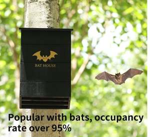 Özel ahşap yarasa evi açık havada büyük üç odası kutusu odası yarasa ev kiti kara ve köklü siyah yarasalar için kolay - Product Image 5