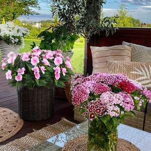 GM Artificial <span class=keywords><strong>Impatiens</strong></span> Flores Faux <span class=keywords><strong>Impatiens</strong></span> Arbustos Flores <span class=keywords><strong>de</strong></span> seda Rosa Verdor Artificial <span class=keywords><strong>Impatiens</strong></span> Ramo para exteriores - Product Image 3