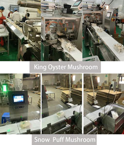 Escala de Peso do transporte Checker com <span class=keywords><strong>Detector</strong></span> De Metais para a Indústria Alimentar - Product Image 5