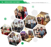 Sac à aliments pour poulets en PP tissé écologique avec impression de logo, fabriqué en Chine