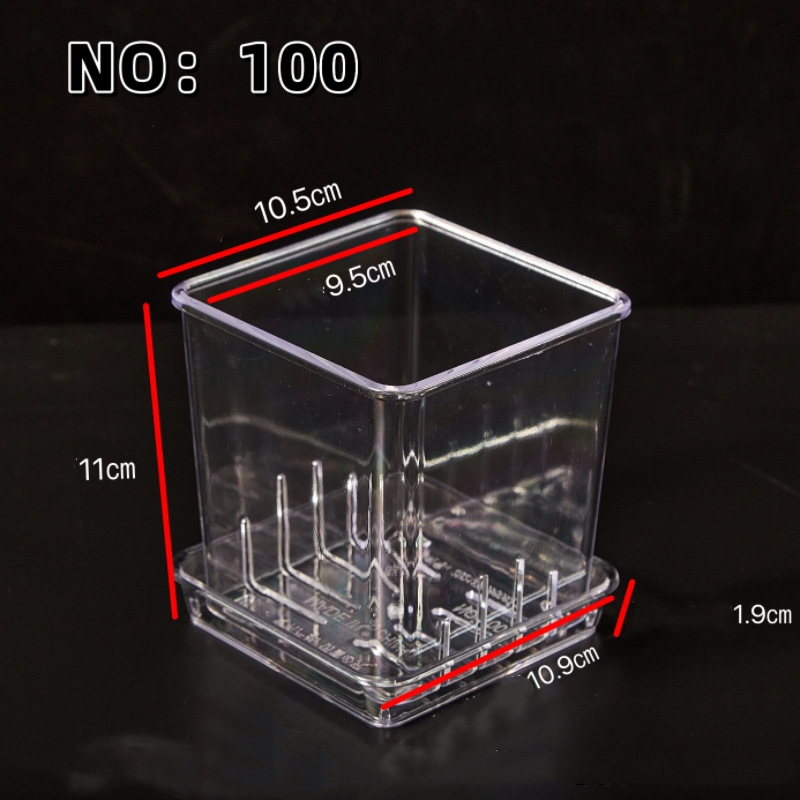 10 cm trasparente (con vassoio)