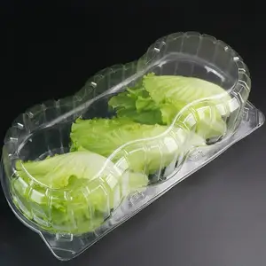 活生菜翻盖包装一次性塑料生菜容器生菜包装