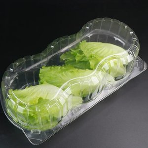 Living Lettuce Clamshell Packaging Disposable Plastic Lettuce Container Lettuce Packaging