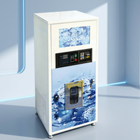 Distributeur automatique de glace 24h/24 pour l'extérieur, fonctionne avec des pièces de monnaie et accepte les paiements par QR code via SDK pour la vente de glace en libre-service