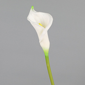 Nueva llegada elegante blanco verde PU simulación decorativa Zantedeschia <span class=keywords><strong>Aethiopica</strong></span> Artificial imitación flor arreglo Floral uso - Product Image 6