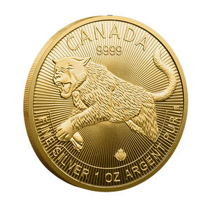 Moneda Conmemorativa de Canadá en Hierro con Relieve 3D, Artesanía Personalizada, Coleccionable, Adorno Decorativo, Regalo Premium - Product Image 6