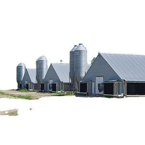 Galpones Avícolas, Refugio, Granja Avícola en Pakistán - Product Image 1