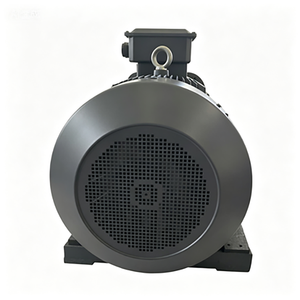 Motor de Alto Voltaje 6KV I Motor de Inducción Asíncrono Trifásico I 1250Kw Eficiencia IE3 Serie Y2 - Product Image 5