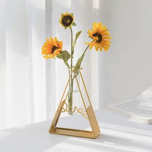 Terrario para Plantas con Soporte de Madera Retro, Soporte Giratorio de Metal, Jarrones de Vidrio para Hidroponía al por Mayor - Product Image 4