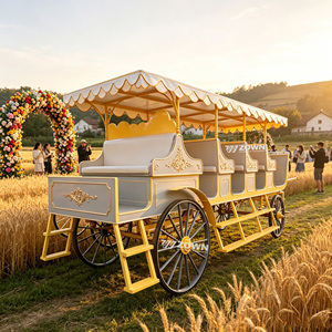 Carroza Turística con Chasis Estable y Ruedas de Goma Premium para Eventos en Resorts, Bodas y Actividades Temáticas - Venta al por Mayor - Product Image 1