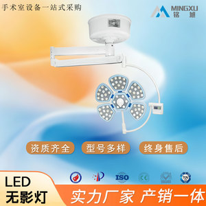 Lámparas Quirúrgicas LED de Doble Cabezal, Lámpara de Examen para Quirófano, Dispositivo Médico con Certificación CE, Aprobado por Shandong, 500x700mm - Product Image 2