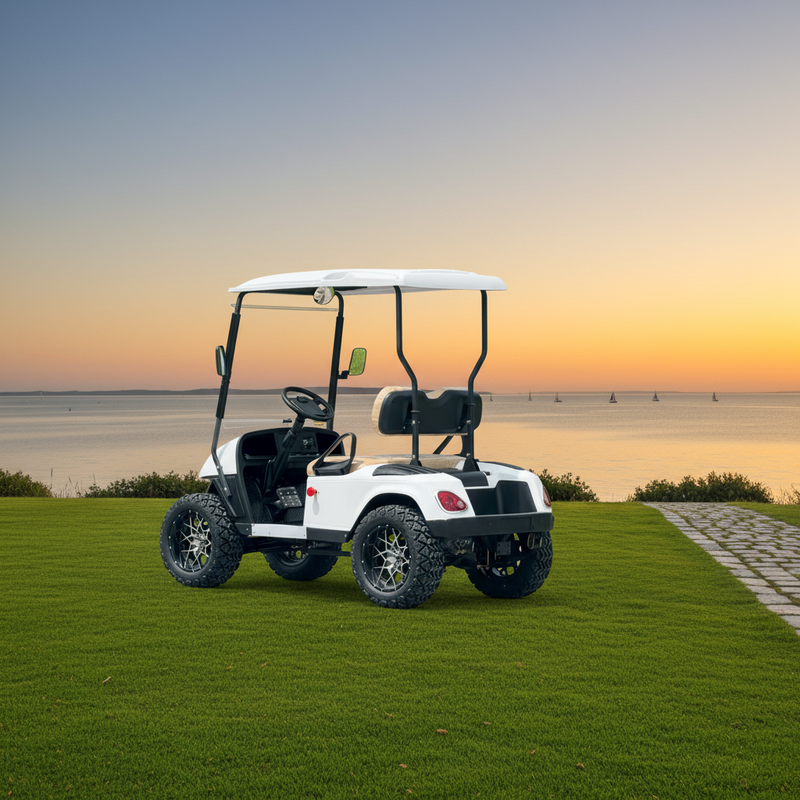 Popular 2 Seats 48V Electric Golf